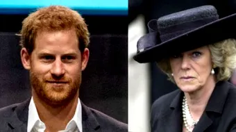 Printul Harry, despre mama sa vitrega. Are acesta o parere proasta despre ea?