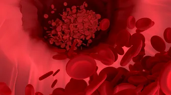 Grupa ta de sânge dezvăluie mai multe decât crezi! Află ce riscuri pentru sănătate sunt legate de ea