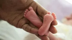 Galerie foto - Poza #4