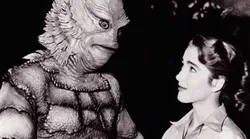 Galerie foto - Poza #4