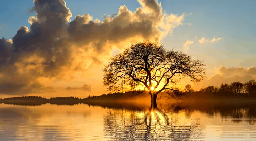 Horoscop 22 mai 2019: Leii trebuie sa evite investitiile!