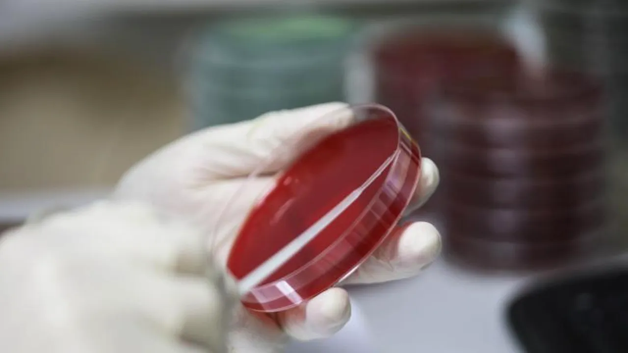 Bilanț sumbru. Numărul îmbolnăvirilor de coronavirus în România a sărit de 9000 de persoane! 