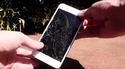 Galerie foto - Poza #4