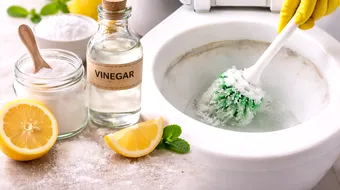 Cum scapi de calcarul din toaletă în mod natural. Renunță la produsele chimice