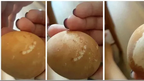 A spalat un ou cumparat din supermarket si a avut un soc! Ce era sub VOPSEAUA care acoperea coaja VIDEO