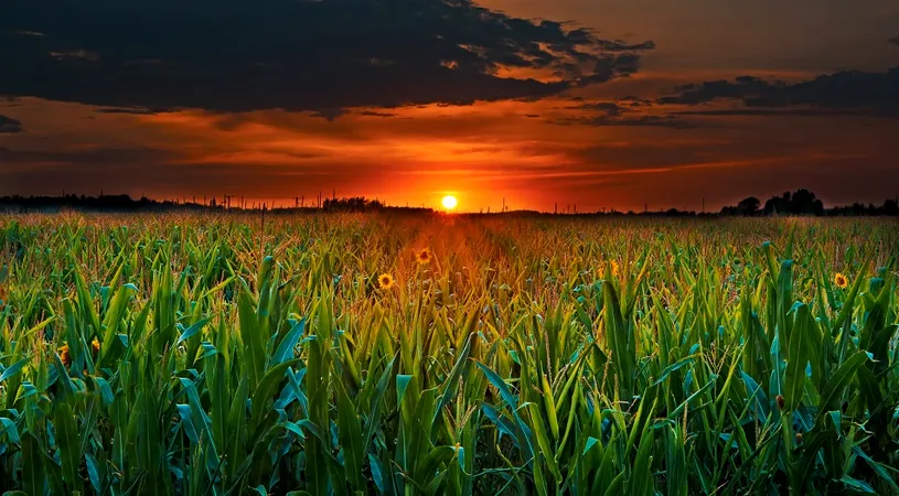 Horoscop 30 aprilie 2019: Sagetatorii incep noi proiecte!