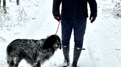 Galerie foto - Poza #3