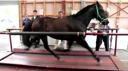 Galerie foto - Poza #4