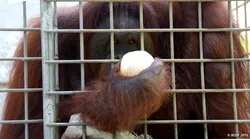 Galerie foto - Poza #4