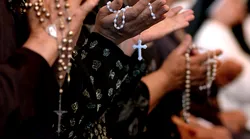 Galerie foto - Poza #4