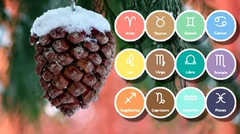 Zodiile care vor trăi o perioadă de fericire intensă la finalul lunii ianuarie