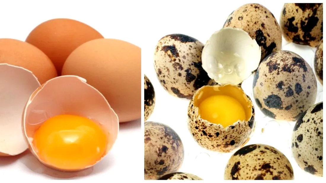 Oul, un aliment controversat! Ce contine un ou de gaina sau de prepelita: efectele pe care le poate avea asupra organismului
