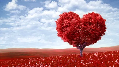 Mesaje de Valentine's Day. Cele mai frumoase declaraţii, urări, SMS-uri şi mesaje de dragoste