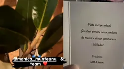 Galerie foto - Poza #3