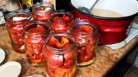 Cei mai buni gogoșari în saramură, rețeta simplă. Se pun ușor și rapid