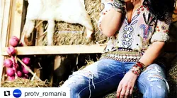 Galerie foto - Poza #4